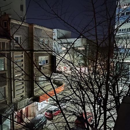 Dorobanti Apartment 부쿠레슈티 외부 사진